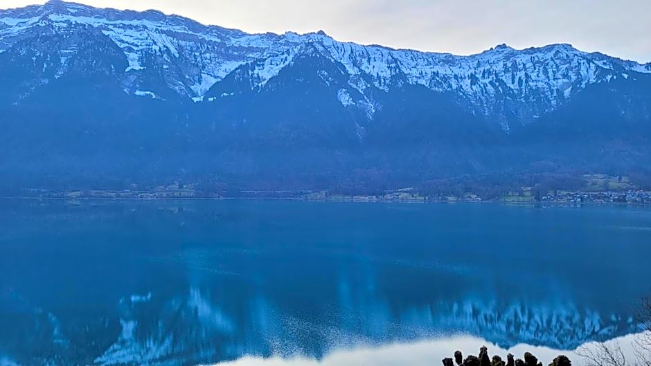 Alpina Boutique Hotel Interlaken - Ringgenberg - Adults only !