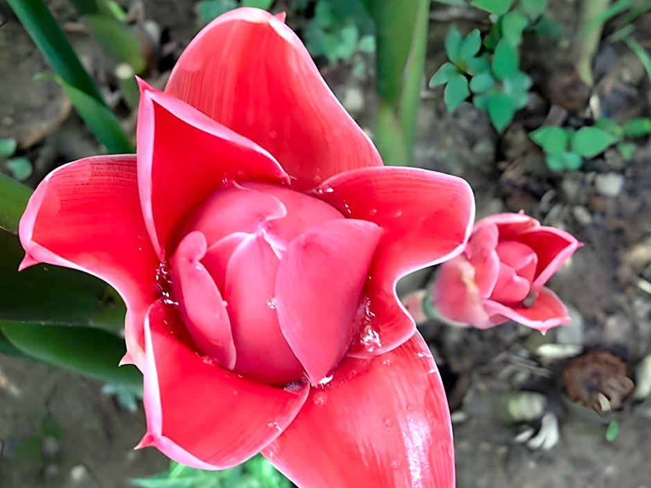 Breeze of Pai Guesthouse