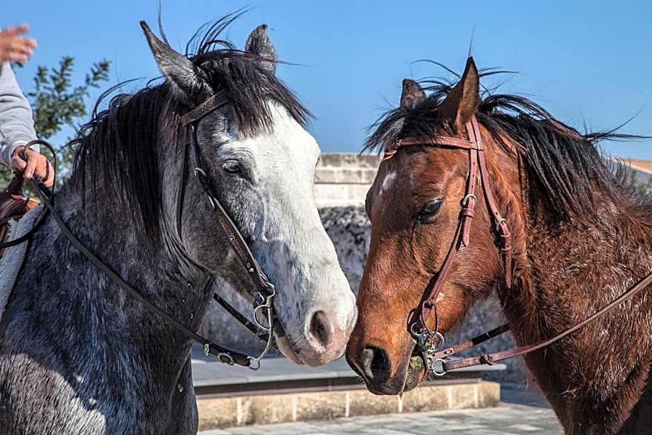 Relais Histò San Pietro Sul Mar Piccolo