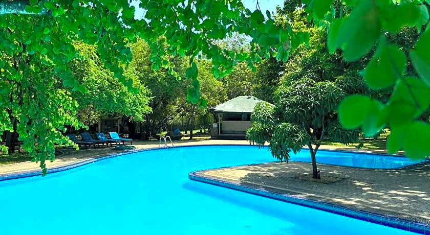 Elephant Reach Hotel - Yala