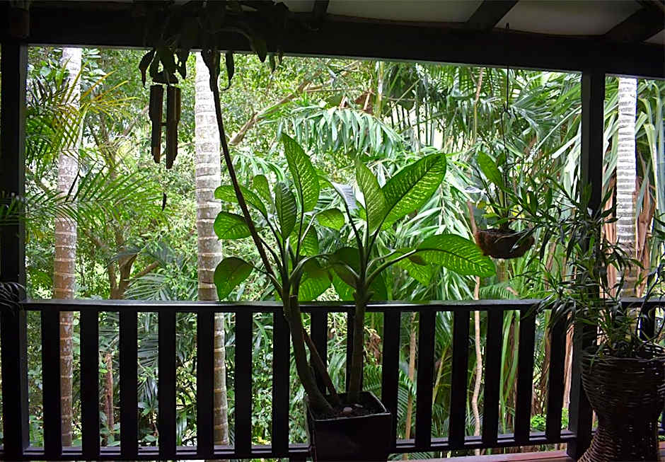 Oskar's Rain Forest Retreat