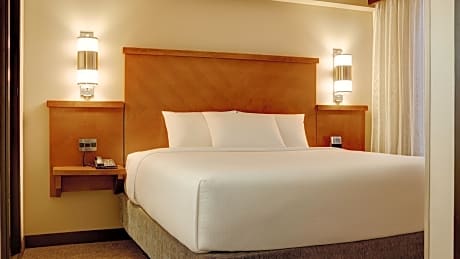 Accessible King Bed/Roll-In Shower (with sofa bed)