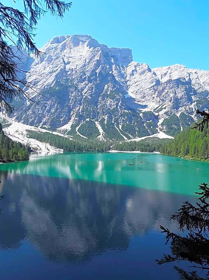 Il Ciliegio di Lurisia