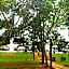 Águas da Serra