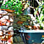 Shady Rest Bed & Breakfast