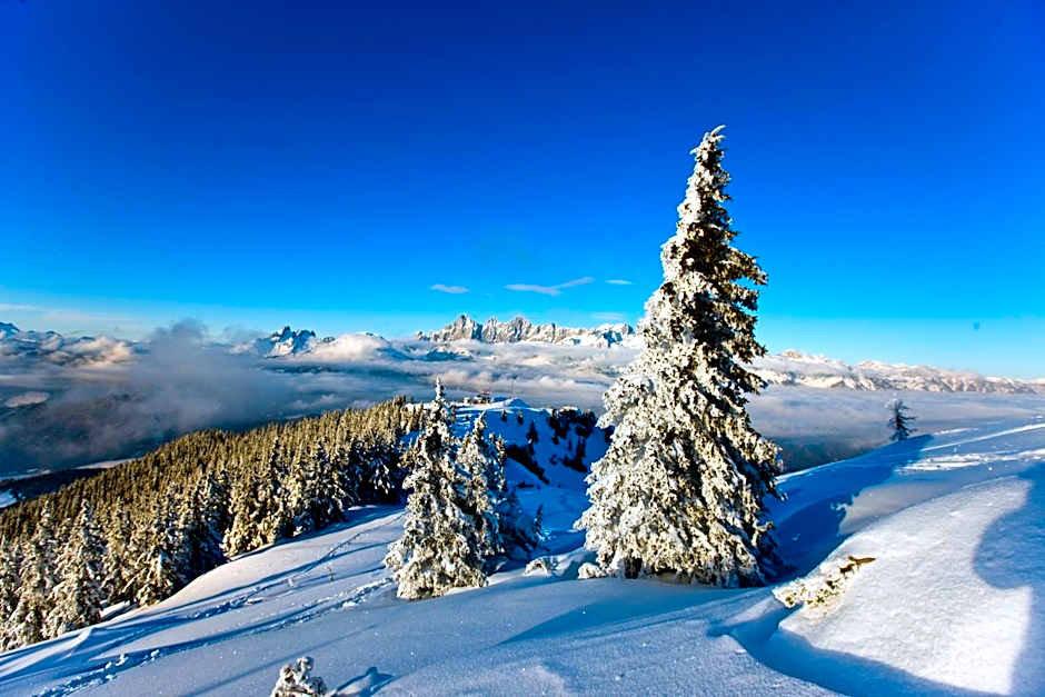 Hotel Schladmingerhof