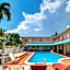 The Palms