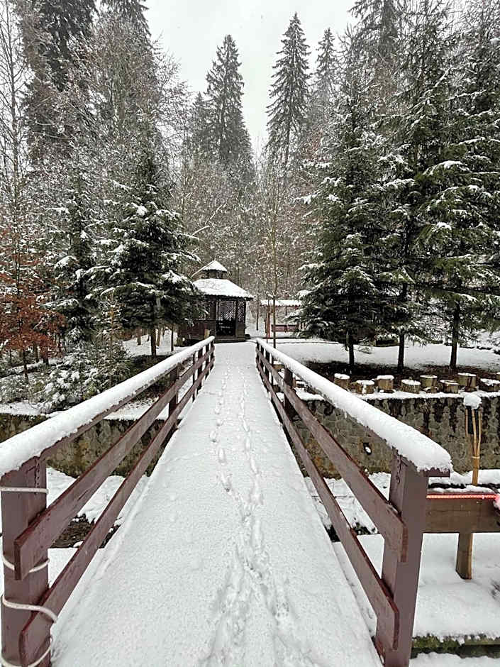 Vila Șipot - Casa Arhitecților