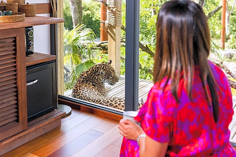 Parrot World - Les Lodges