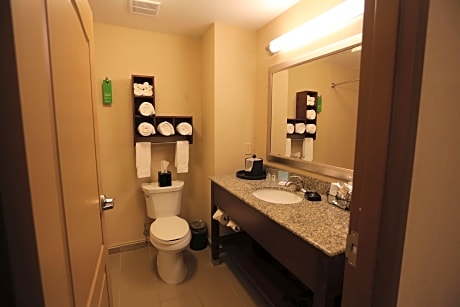 1 King Mobility/Hearing Acc Ri Shower Nosmok