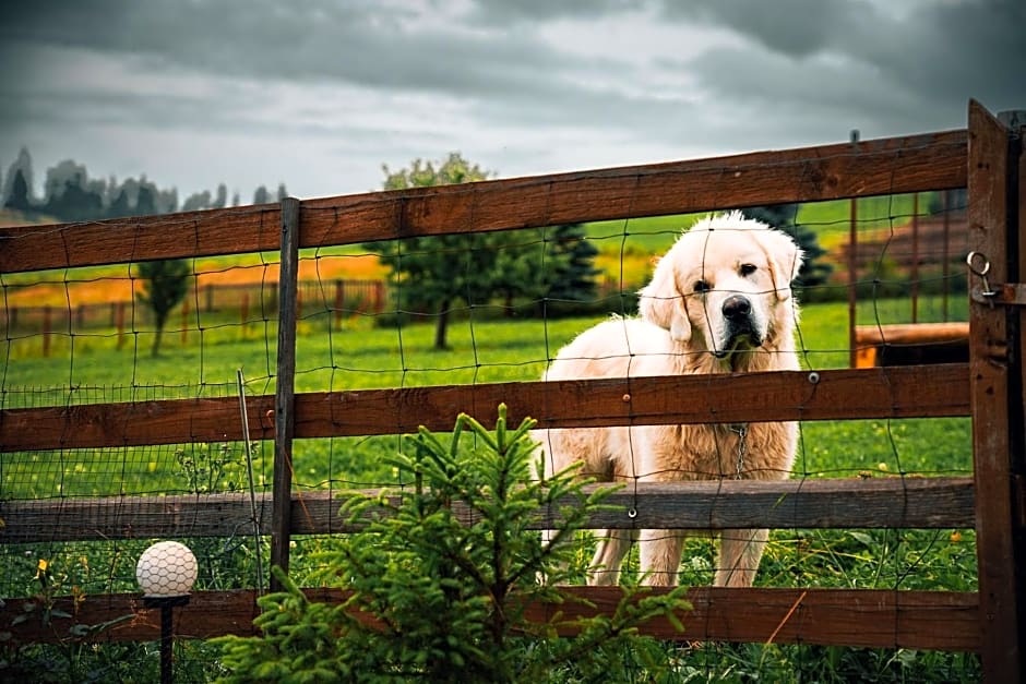 Pokoje Gościnne u Bronka