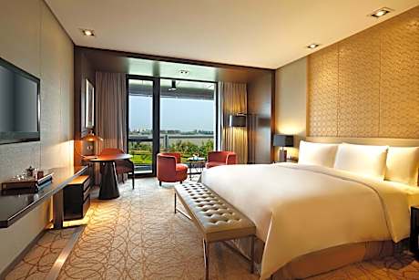 1 King Standard Garden View