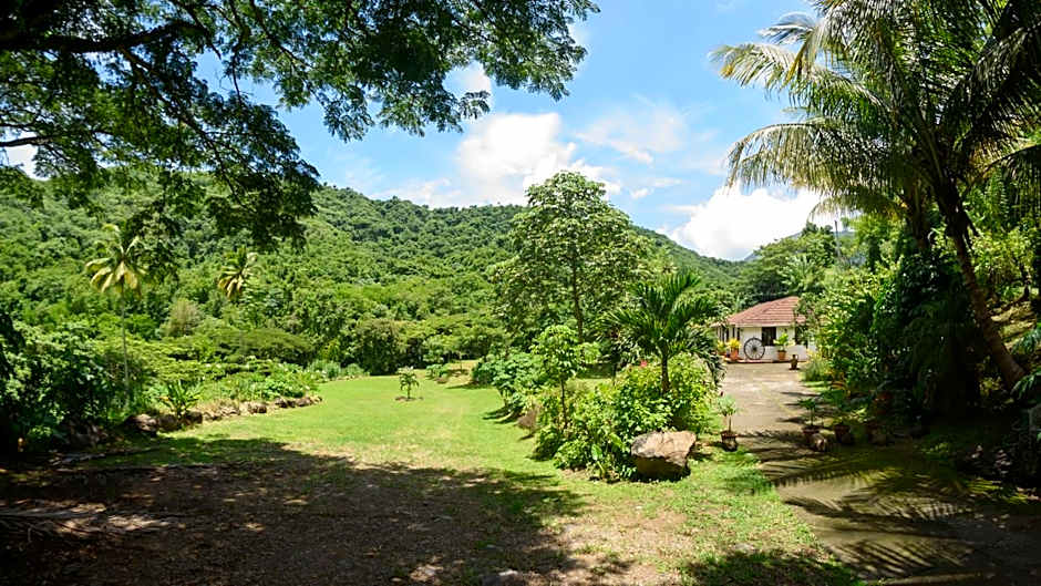 Martinique Treehouse
