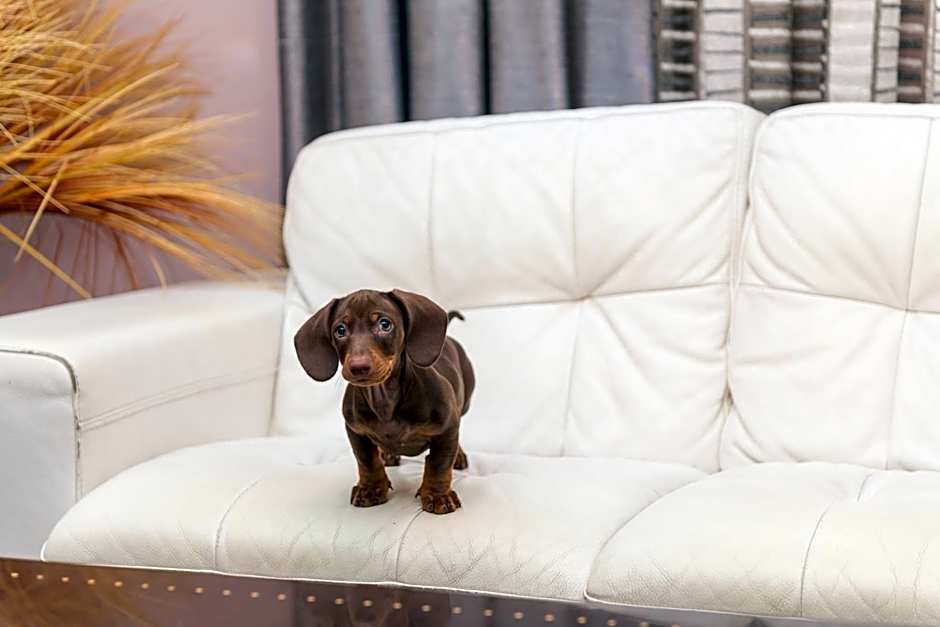 Hotel Torre Azul & Spa - Adults Only