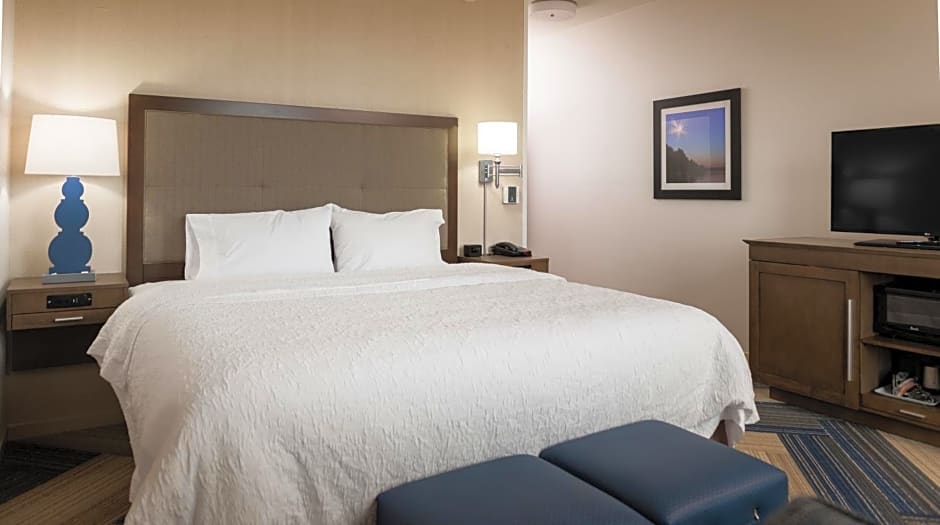 Hampton Inn and Suites La Crosse Downtown