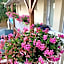 BRIT HOTEL Lannion vers Perros-Guirec