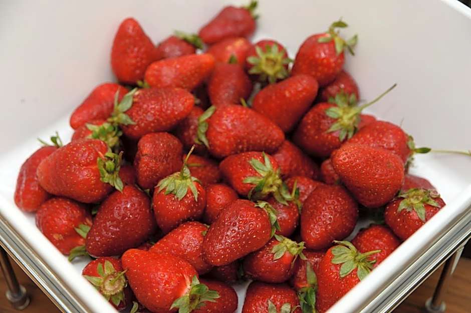 Alexandar Square Boutique Hotel