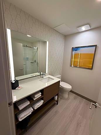 Efficiency King Suite - Non Smoking
