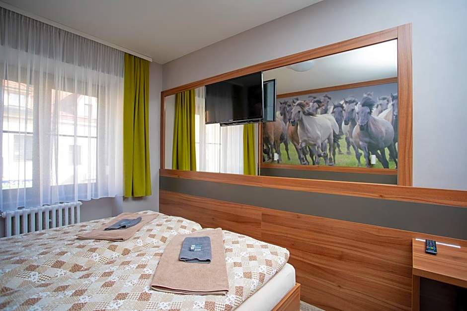 Hotel U koně