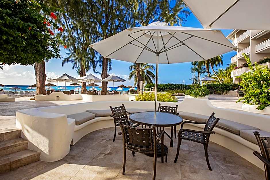 Bougainvillea Barbados