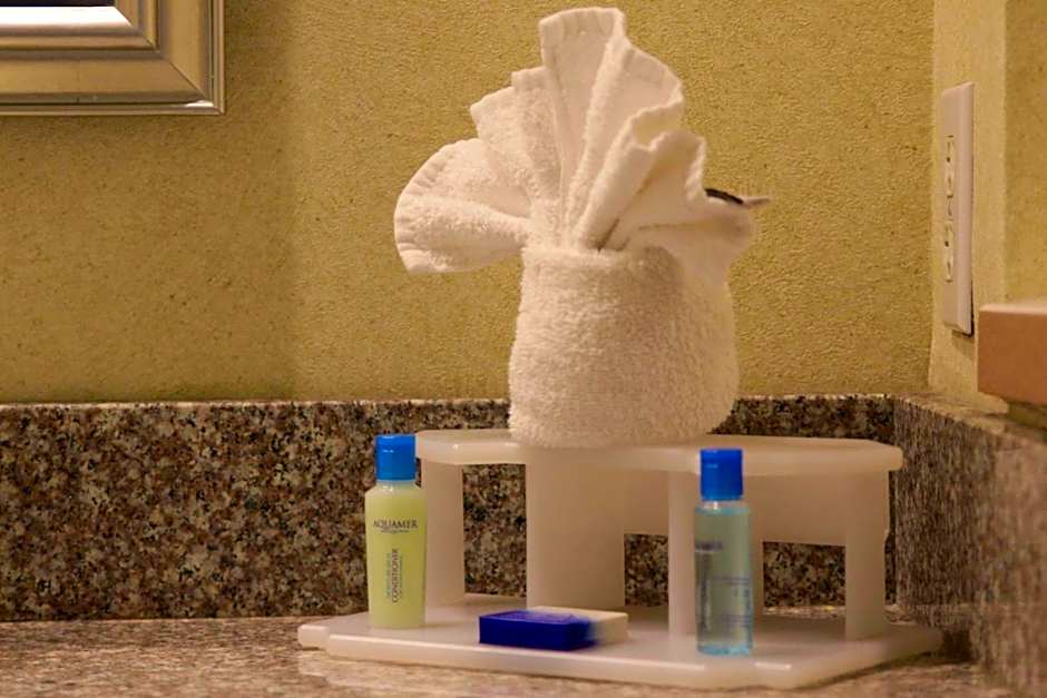 Best Western Galleria Inn & Suites