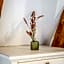CASA CHITIC - HOTEL & RESTAURANT- Str Nicolae Balcescu 13