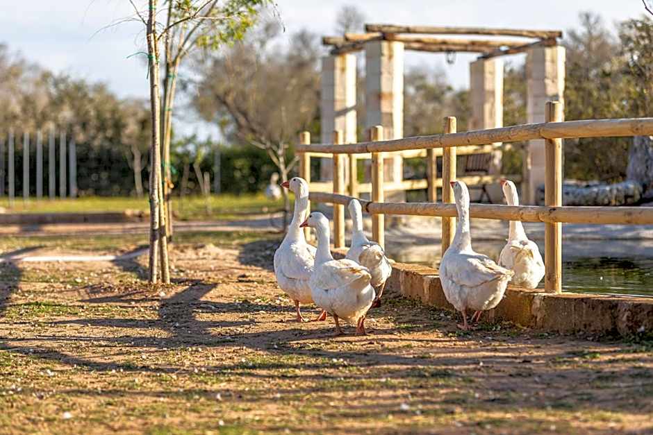 Masseria Borgo Segine - Relais nel Salento