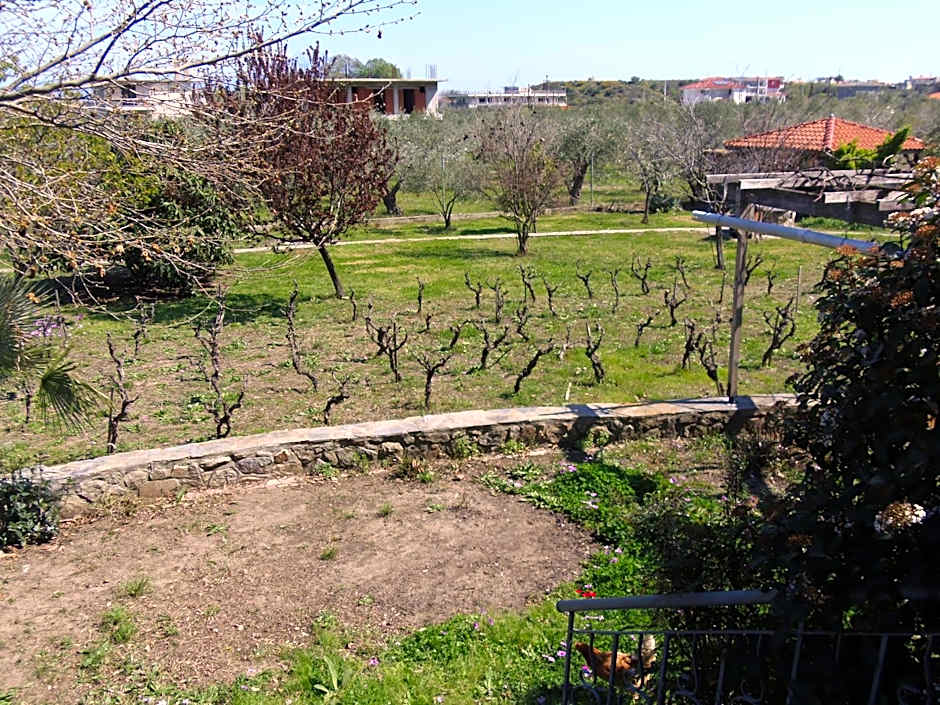 Sartivista Bed & Breakfast