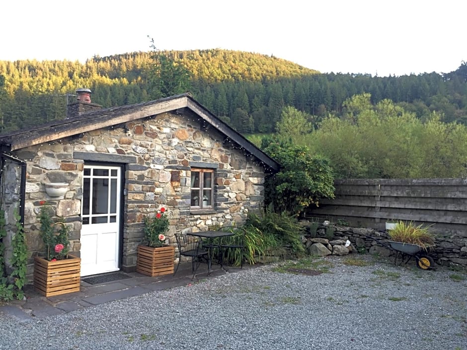 Dolweunydd Bed and Breakfast