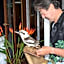 South Pacific Bed & Breakfast