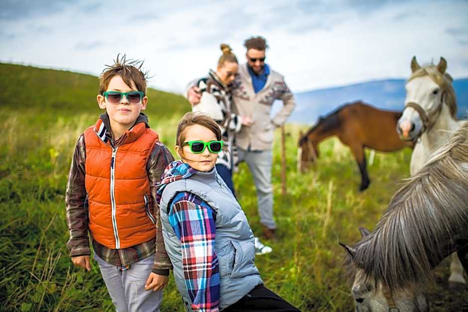 Hotel *** NAT Ustroń