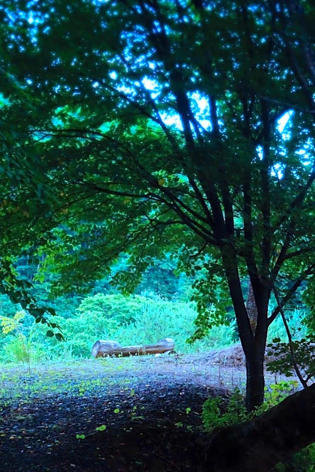 Sannouzan Onsen Zuisenkyo
