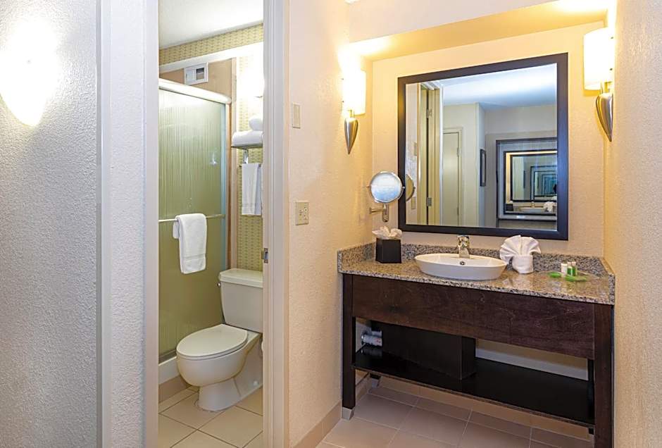 Holiday Inn Airport West Earth City By IHG