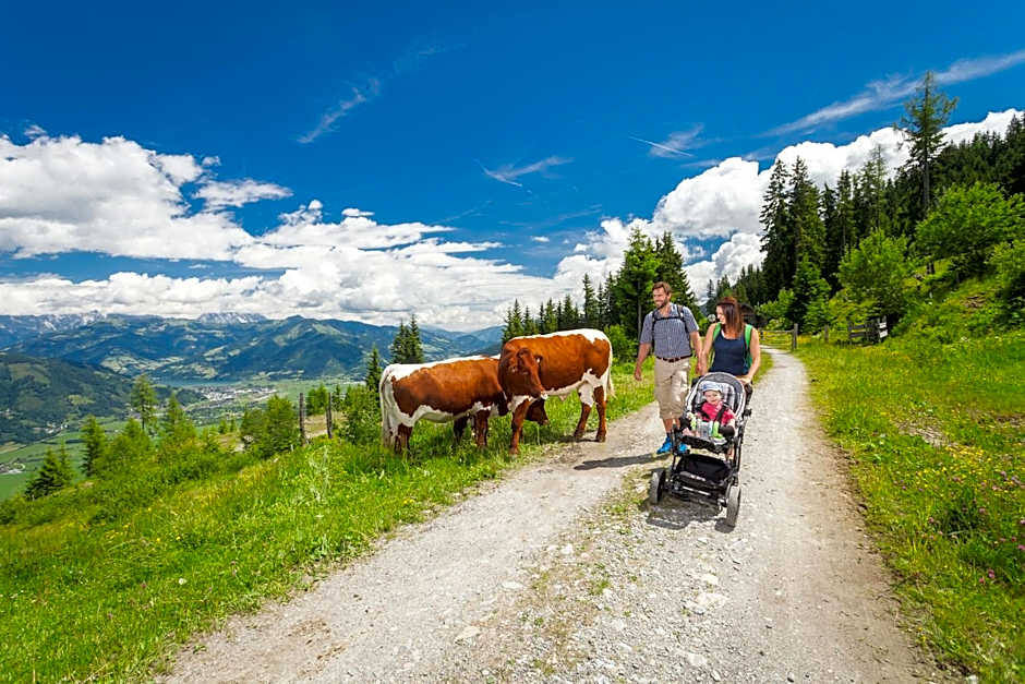 Apartmenthaus Gotthardt