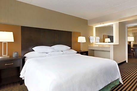 1 King Suite Accessible Roll In Shower Non-Smoking