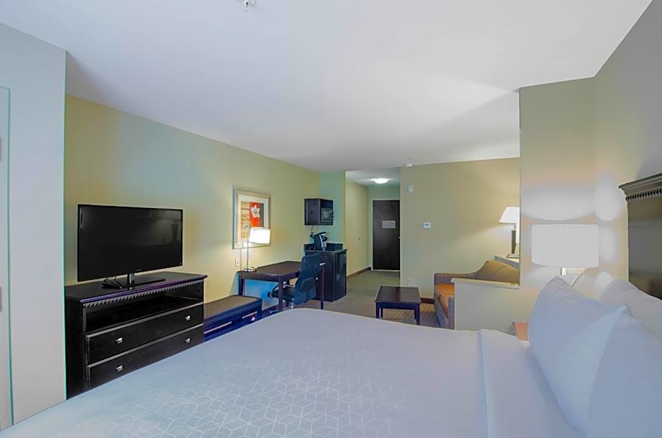 Comfort Suites Mobile-South Alabama University Area