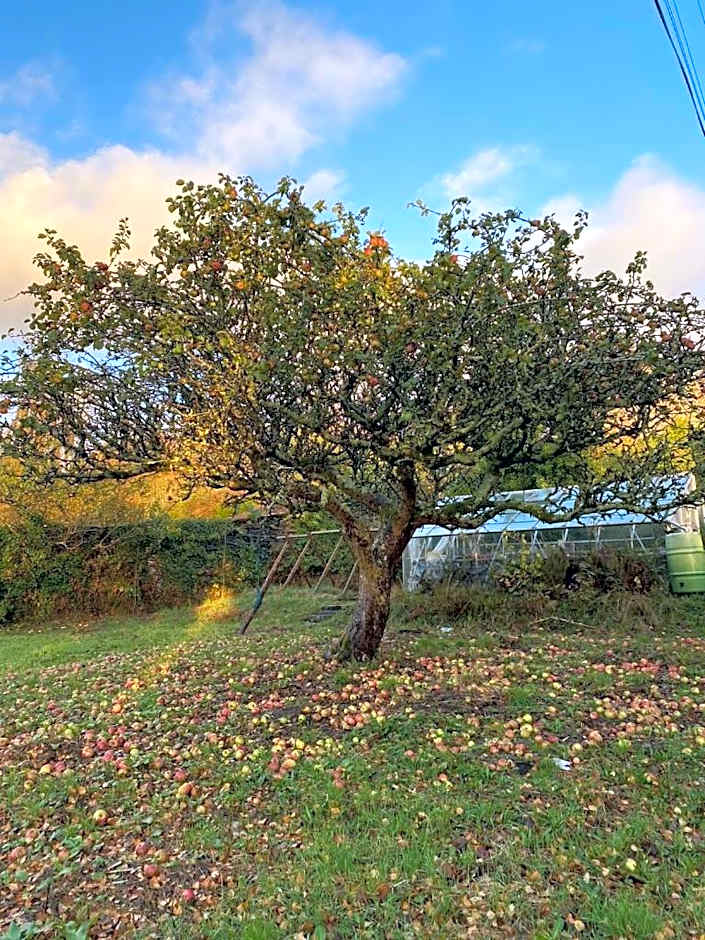 Maes Y Neuadd Country House