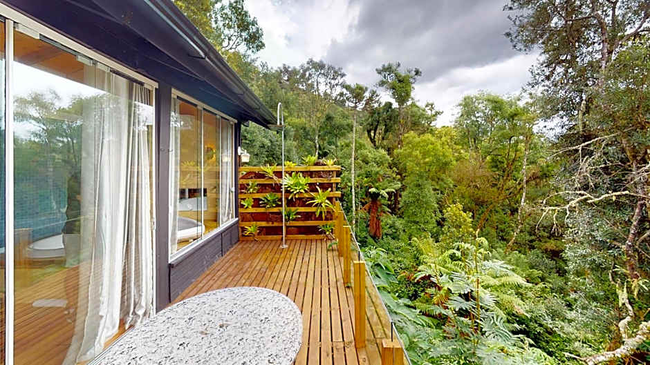 Cisne Negro Villarejo