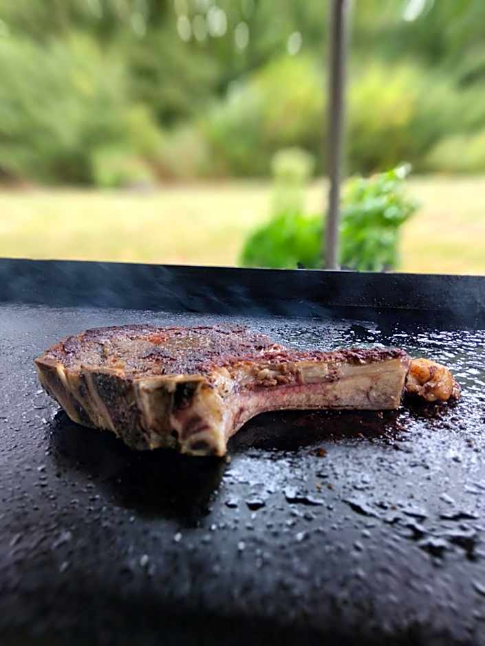 Chambres entre Romorantin-Chambord-Zoo de Beauval - Orée du Bois en Sologne