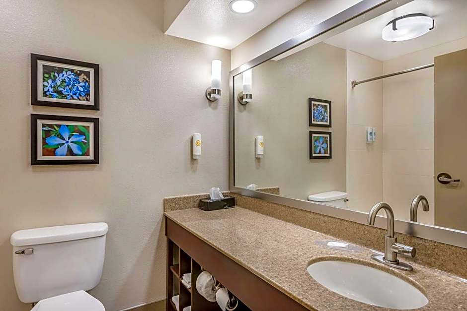 Comfort Inn & Suites Conway