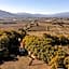 Domaine Castell de Blés