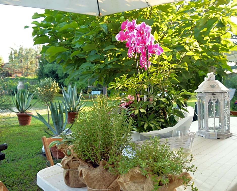 Bed & Tours Dimora di campagna