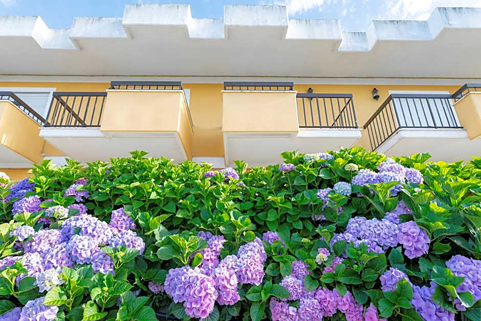 D. Afonso Hotel & SPA