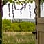 Little Oakhurst