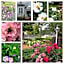 Chelsea House Bed & Breakfast