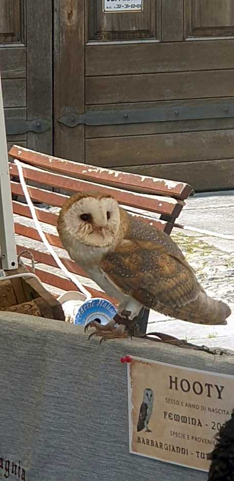 Antica casa occitana