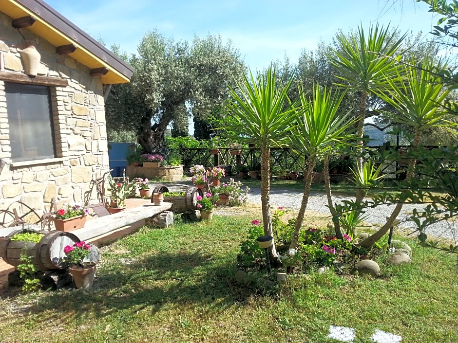 Agriturismo L'Uliveto