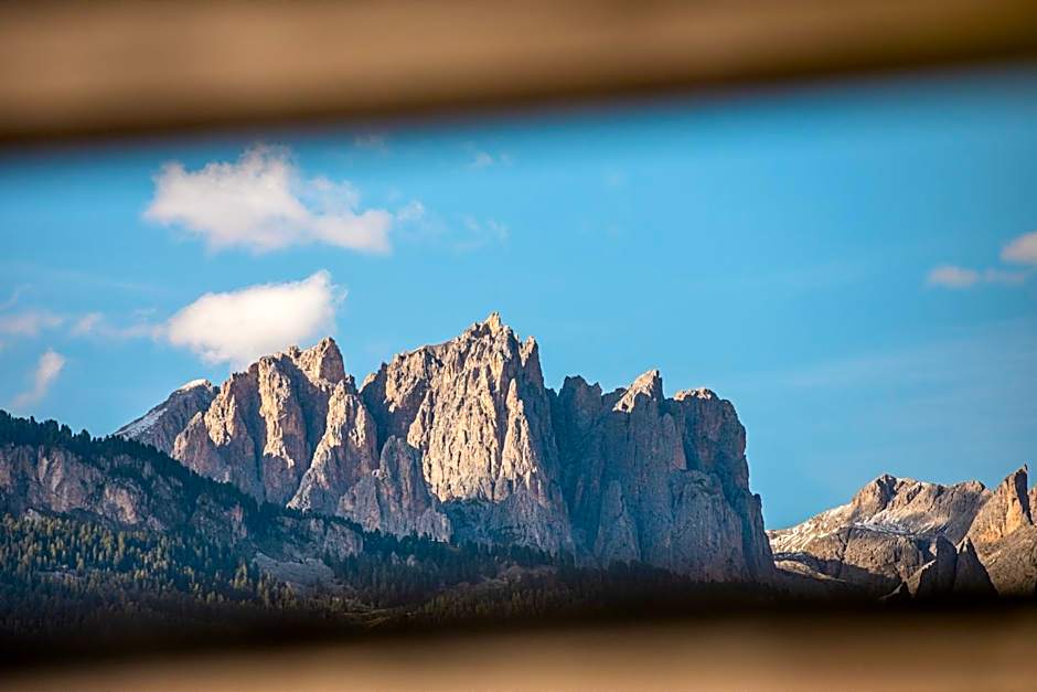 Belvedere Dolomites Flower Hotel