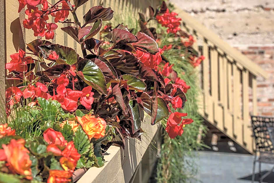 SĪMANIS Boutique Hotel