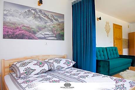 Studio with Mountain View